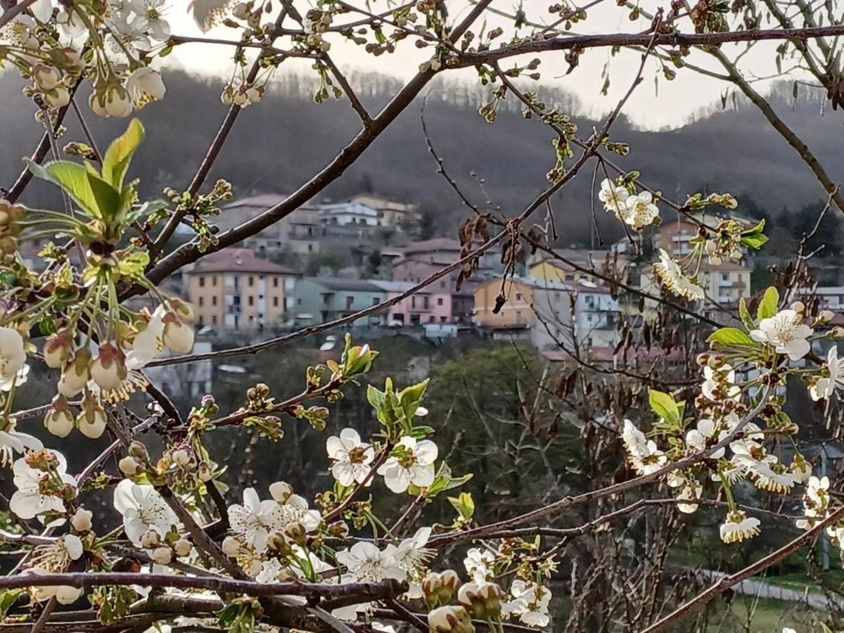 Casa Vacanze "Ellen" Bianchi Εξωτερικό φωτογραφία